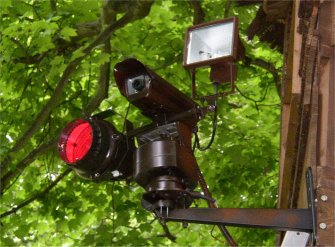 Camouflaged camera in dense trees